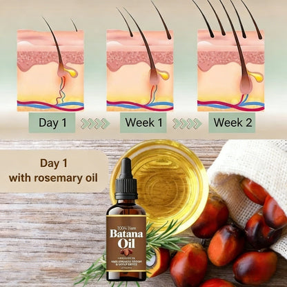 100% Pure Batana Oil for Promoting Hair Growth